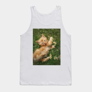 orange kitten among daisies Tank Top